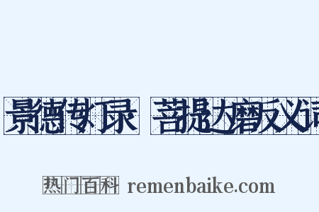 景德传灯录·菩提达磨反义词是什么意思的图片